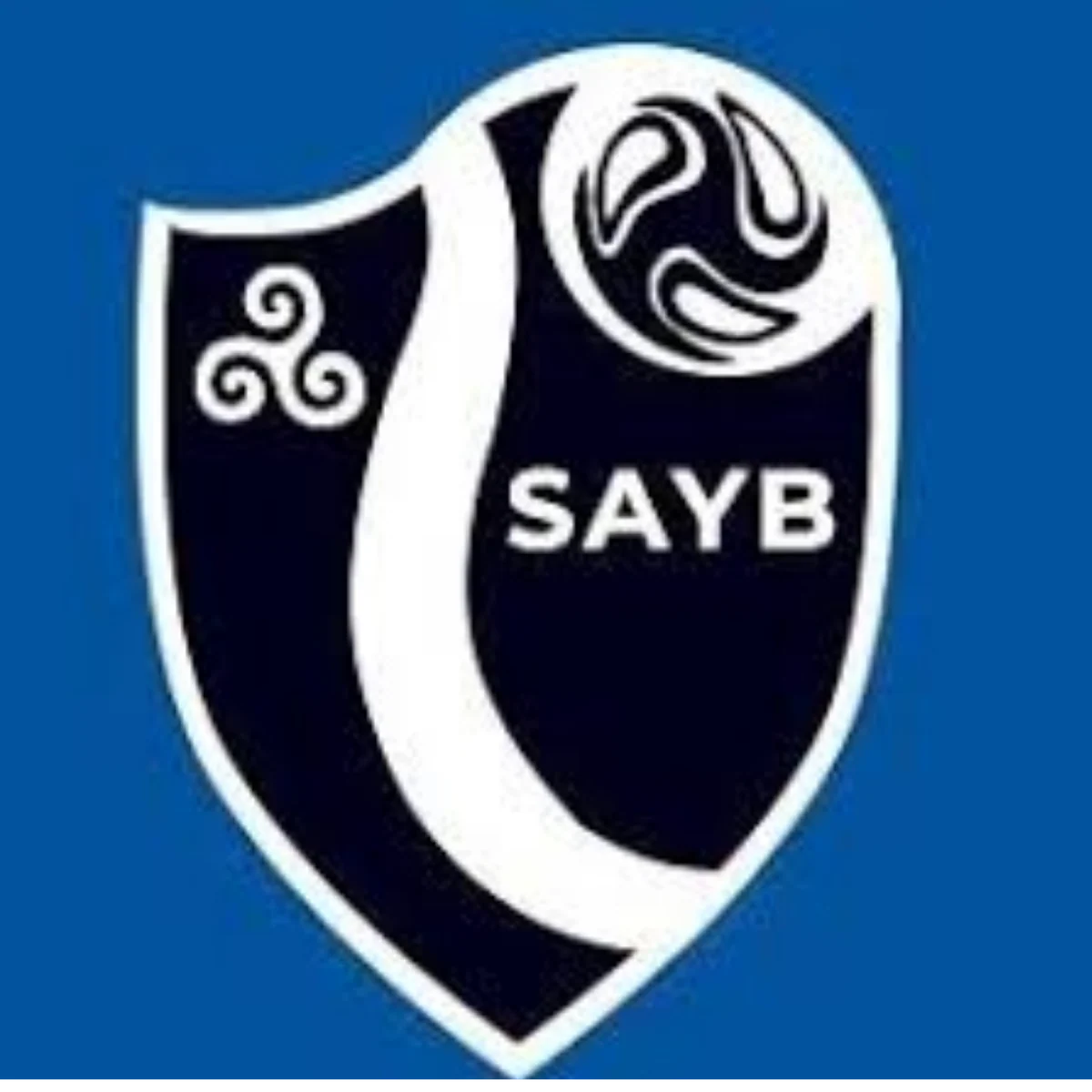 Logotipo de Meninos da SAYB